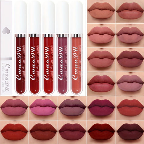 6PCS Velvet Matte Lip Gloss Set